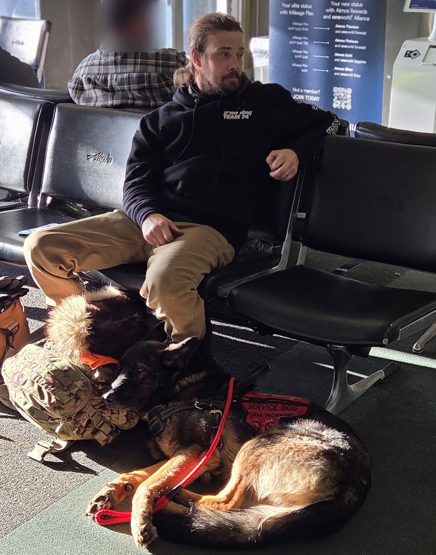 A German Shepherd wearing a red service dog vest lies calmly on the floor at a seated man's feet in an airport gate area.